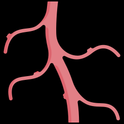 Vascular Surgeon