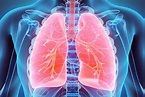Pulmonologist